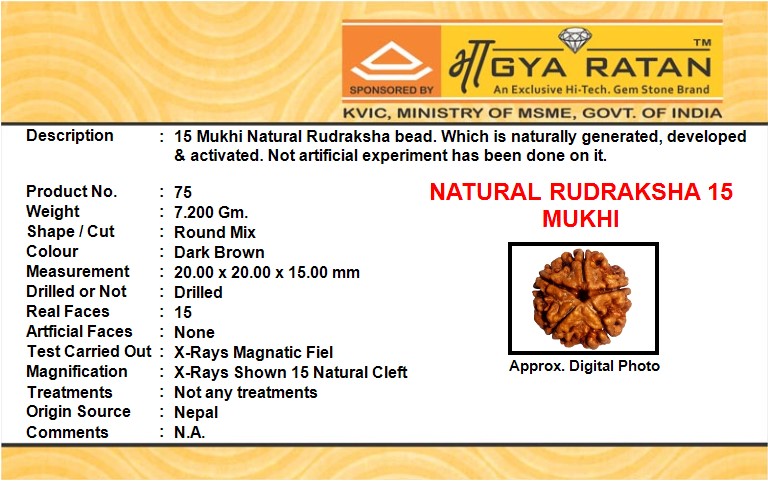 NATURAL RUDRAKSHA 15 MUKHI